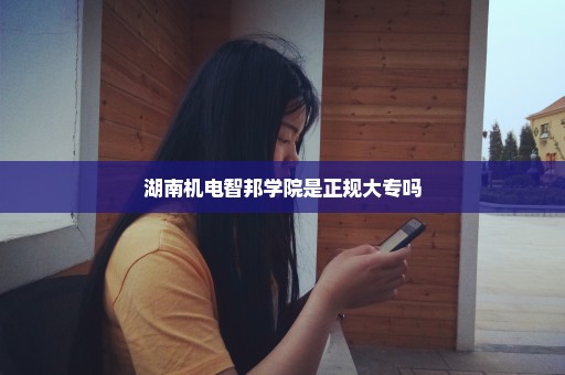 湖南机电智邦学院是正规大专吗
