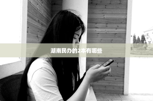 湖南民办的2本有哪些