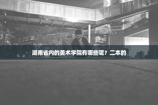 湖南省内的美术学院有哪些呢？二本的