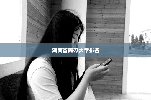 湖南省民办大学排名
