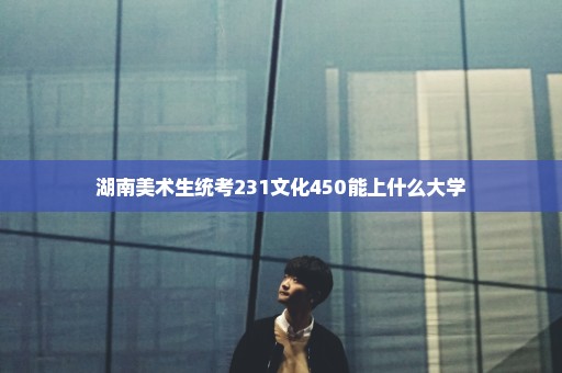 湖南美术生统考231文化450能上什么大学