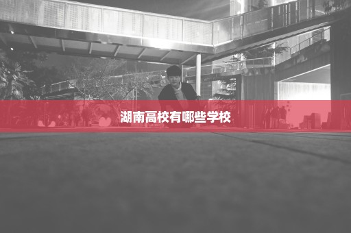 湖南高校有哪些学校