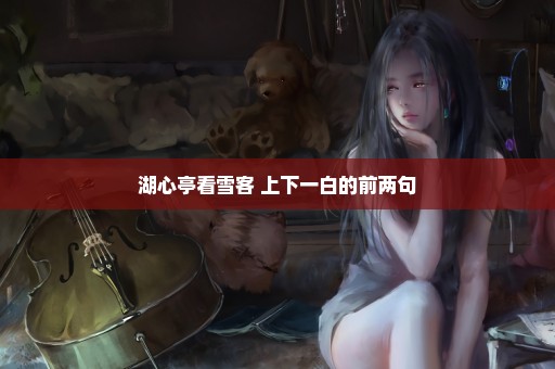 湖心亭看雪客 上下一白的前两句