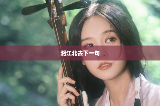 湘江北去下一句
