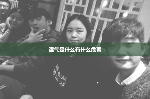 湿气是什么有什么危害