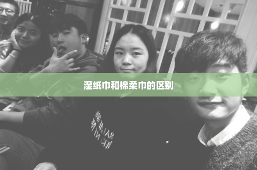 湿纸巾和棉柔巾的区别