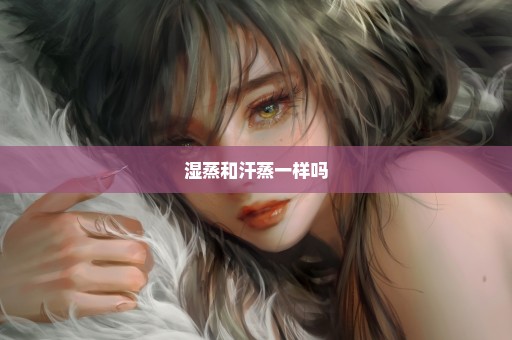湿蒸和汗蒸一样吗