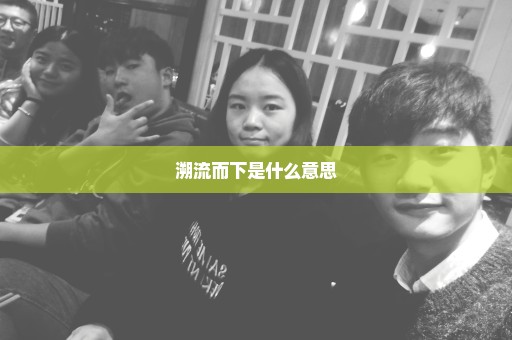 溯流而下是什么意思