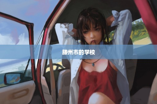 滕州市的学校