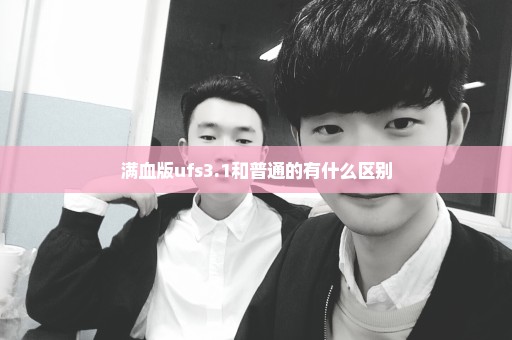 满血版ufs3.1和普通的有什么区别