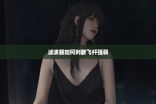 滤波器如何判断飞杆强弱