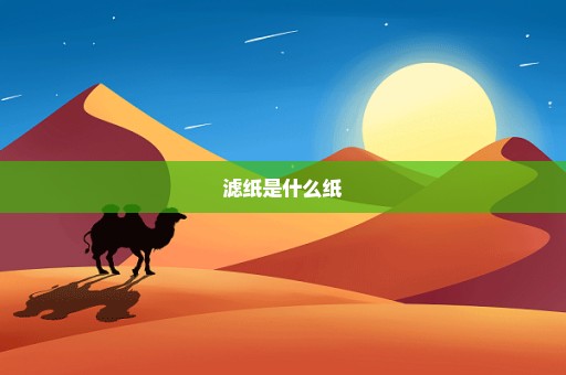 滤纸是什么纸