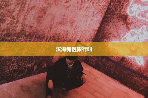 滨海新区限行吗
