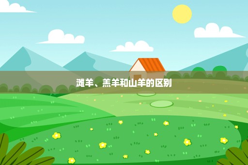 滩羊、羔羊和山羊的区别