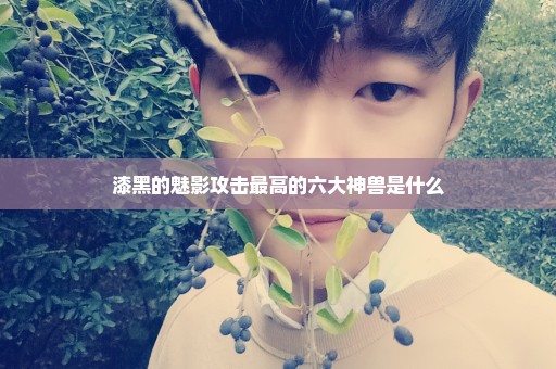 漆黑的魅影攻击最高的六大神兽是什么