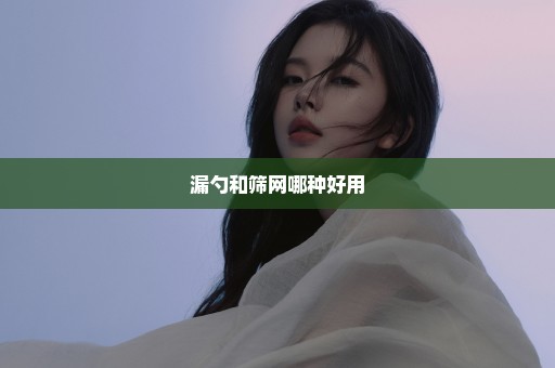 漏勺和筛网哪种好用