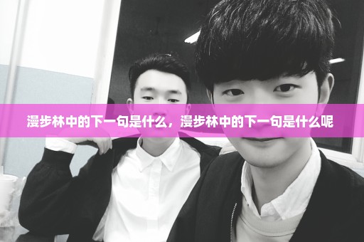 漫步林中的下一句是什么，漫步林中的下一句是什么呢 