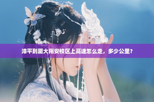 漳平到厦大翔安校区上高速怎么走，多少公里？