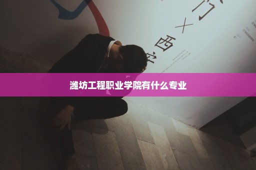 潍坊工程职业学院有什么专业