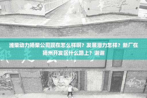 潍柴动力扬柴公司现在怎么样啊？发展潜力怎样？新厂在扬州开发区什么路上？谢谢