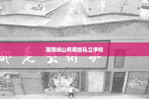 潮南峡山有哪些私立学校