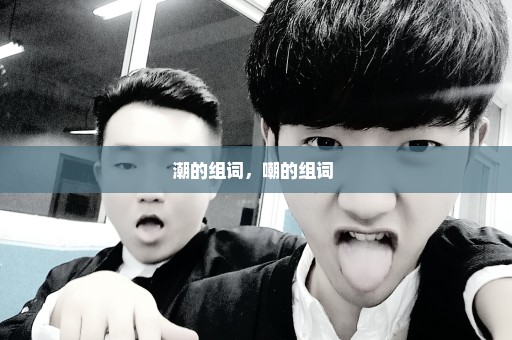 潮的组词，嘲的组词 