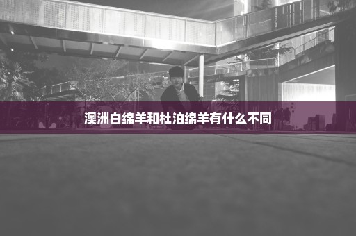 澳洲白绵羊和杜泊绵羊有什么不同