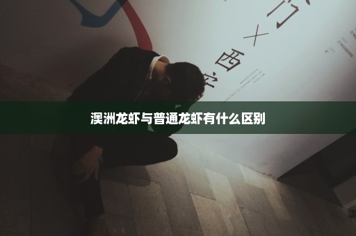 澳洲龙虾与普通龙虾有什么区别
