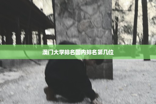 澳门大学排名国内排名第几位