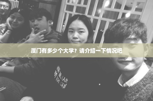 澳门有多少个大学？请介绍一下情况吧