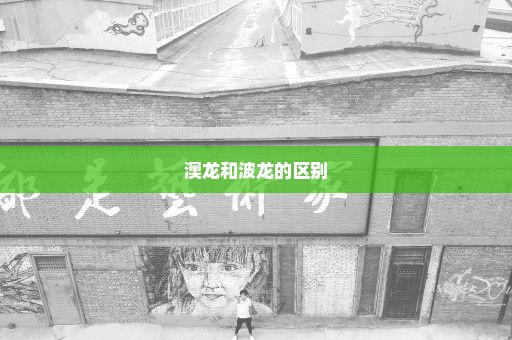 澳龙和波龙的区别