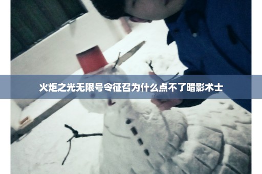 火炬之光无限号令征召为什么点不了暗影术士