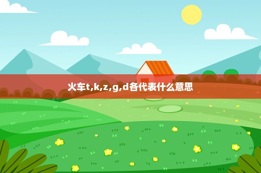 火车t,k,z,g,d各代表什么意思