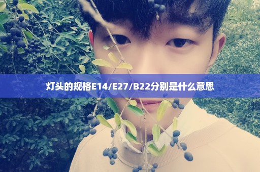 灯头的规格E14/E27/B22分别是什么意思