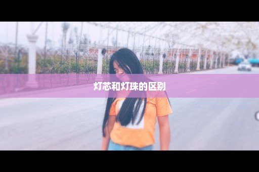 灯芯和灯珠的区别
