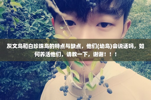 灰文鸟和白珍珠鸟的特点与缺点，他们(幼鸟)会说话吗，如何养活他们，请教一下，谢谢！！！