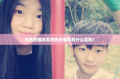 灰色的僧衣和黄色的僧衣有什么区别？