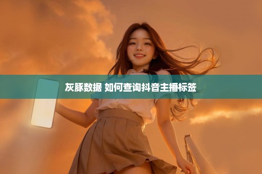 灰豚数据 如何查询抖音主播标签