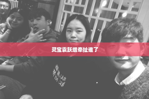 灵宝袁跃增牵扯谁了