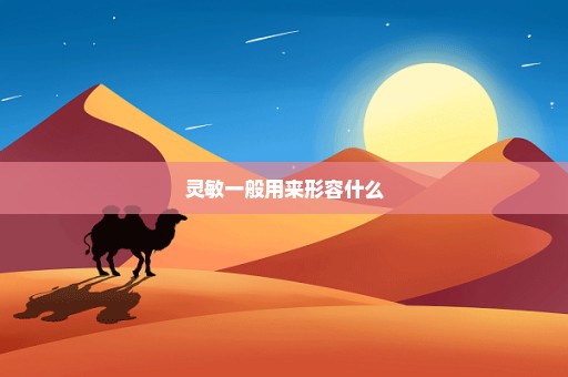 灵敏一般用来形容什么