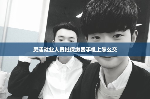 灵活就业人员社保缴费手机上怎么交