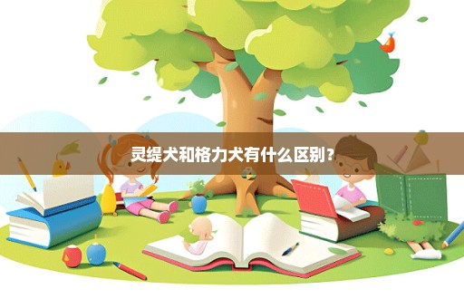 灵缇犬和格力犬有什么区别？