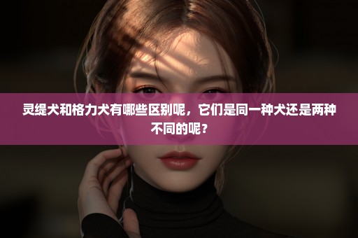 灵缇犬和格力犬有哪些区别呢，它们是同一种犬还是两种不同的呢？