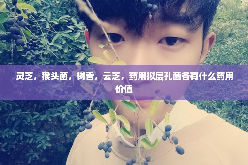 灵芝，猴头菌，树舌，云芝，药用拟层孔菌各有什么药用价值