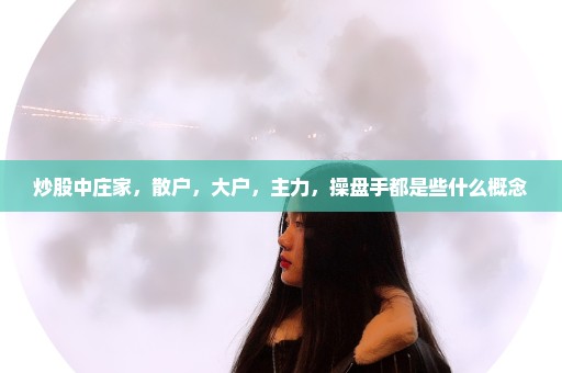 炒股中庄家，散户，大户，主力，操盘手都是些什么概念