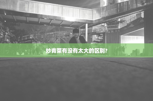 炒青菜有没有太大的区别?