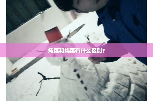 炖菜和烧菜有什么区别？