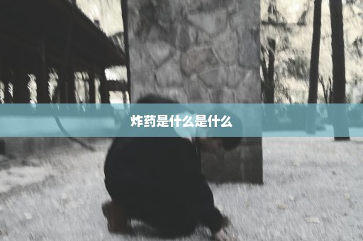 炸药是什么是什么