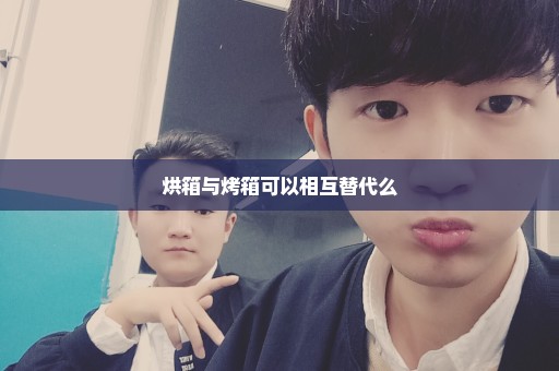 烘箱与烤箱可以相互替代么