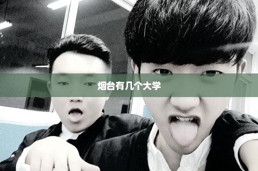 烟台有几个大学